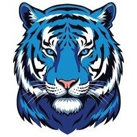 Male Tiger Symbol