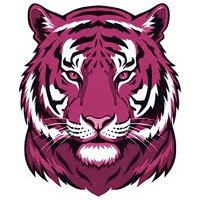 Female Tiger Symbol